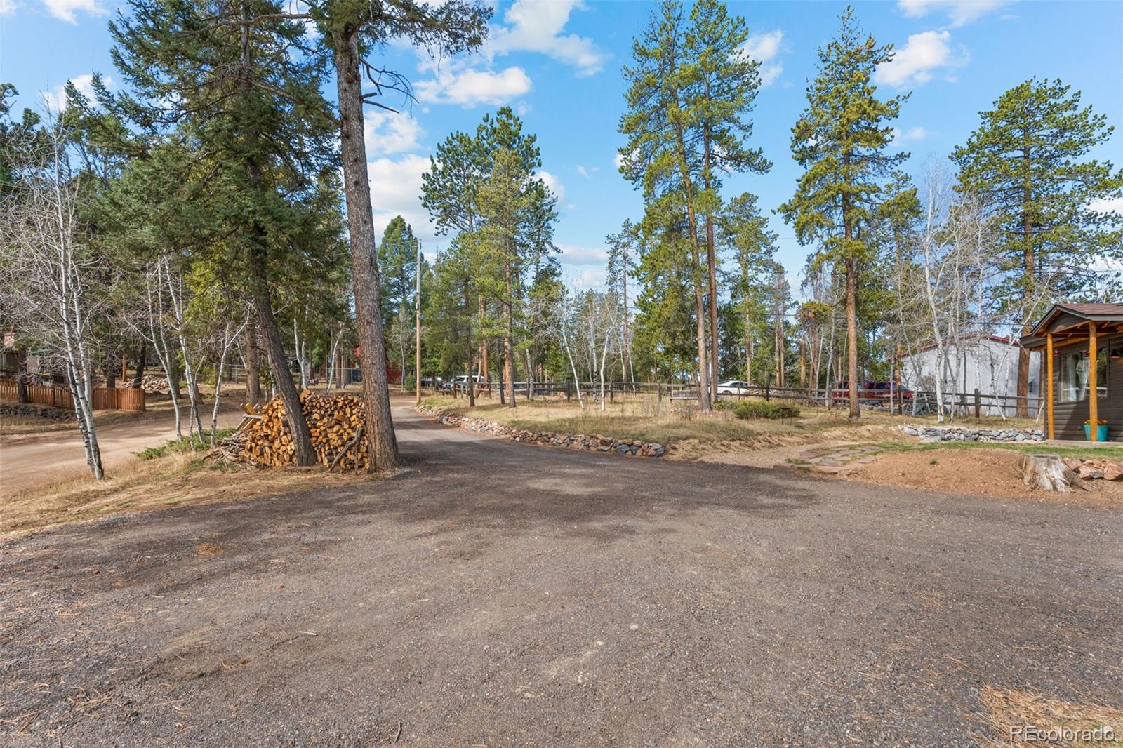 12159 Circle Drive Conifer, CO 80433 - Photo 6 of 49 a view of road with large trees