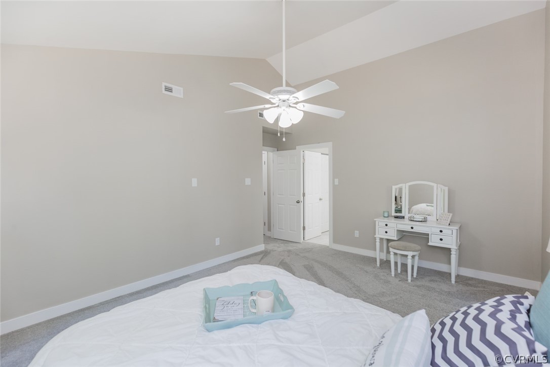 13901 Sunrise Bluff Road Midlothian, VA 23112 - Photo 28 of 43 Gallery Image 28