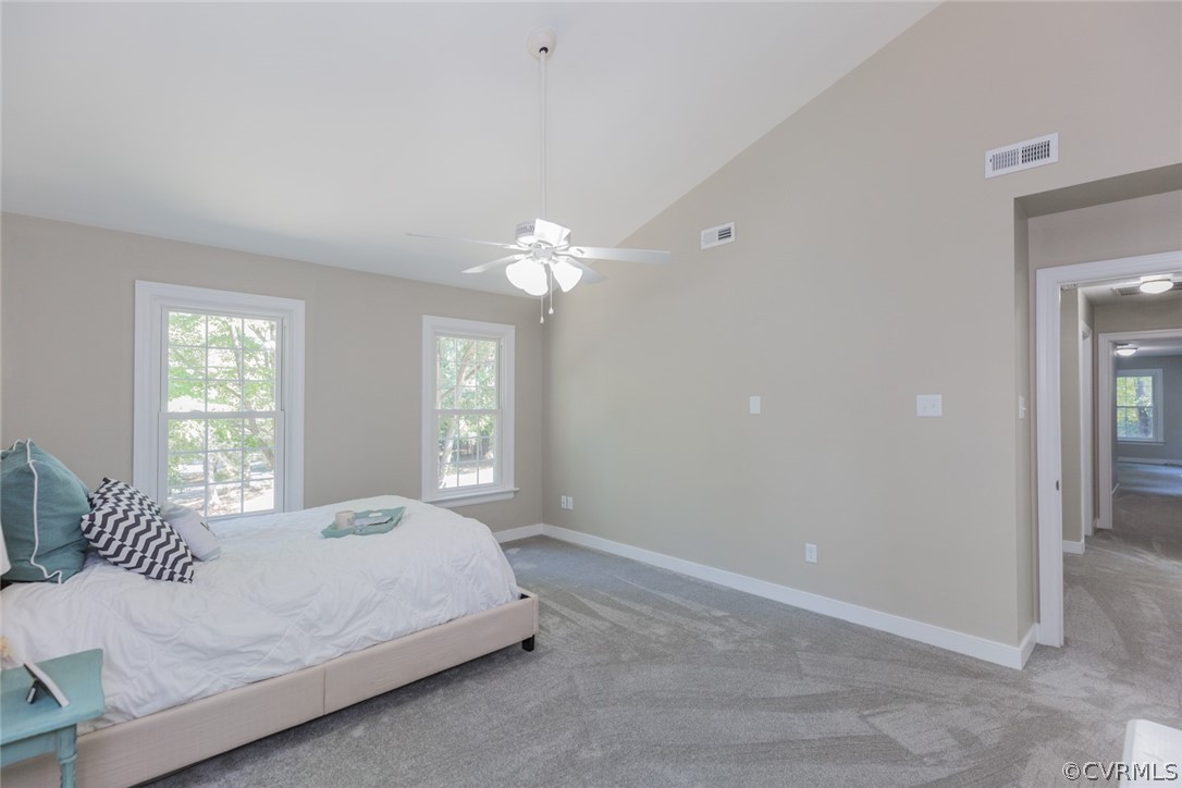 13901 Sunrise Bluff Road Midlothian, VA 23112 - Photo 29 of 43 Gallery Image 29