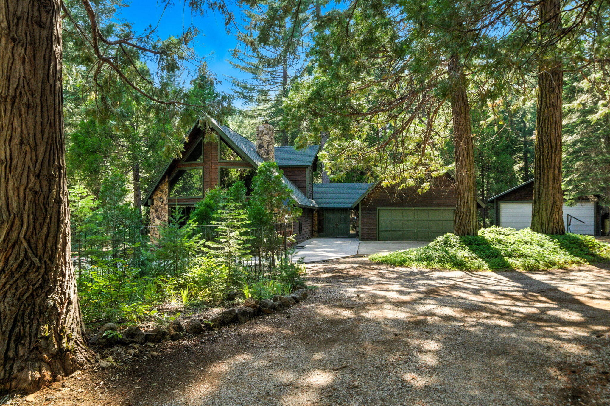 8102 Richards Lane Shingletown, CA 96088 - Photo 2 of 19 a backyard of a house with lots of green space