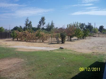 17233 Daley Road Madera, CA 93638 - Photo 17 of 24 Gallery Image 17
