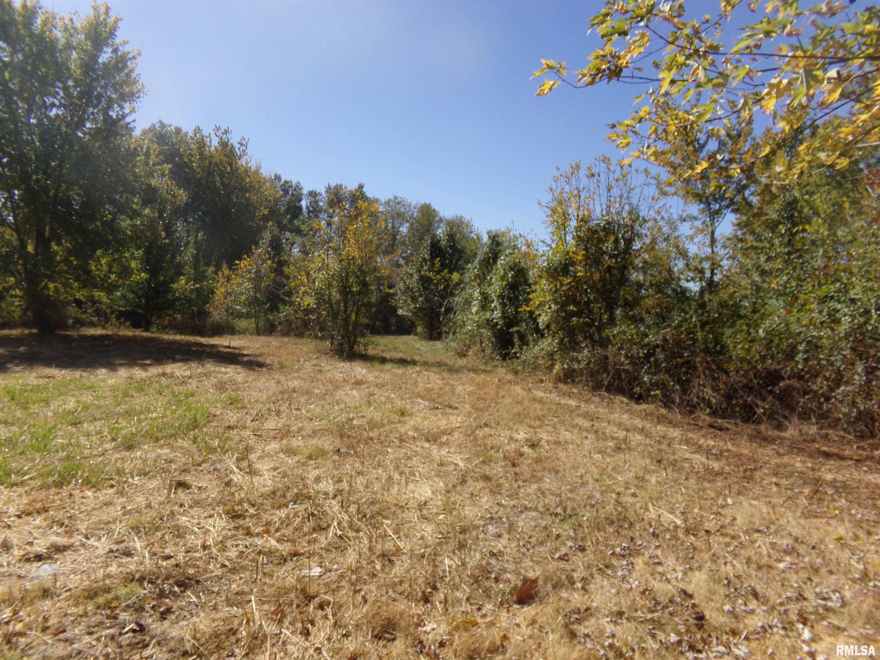 0 Satch Road Benton, IL 62812 - Photo 3 of 13 Gallery Image 3