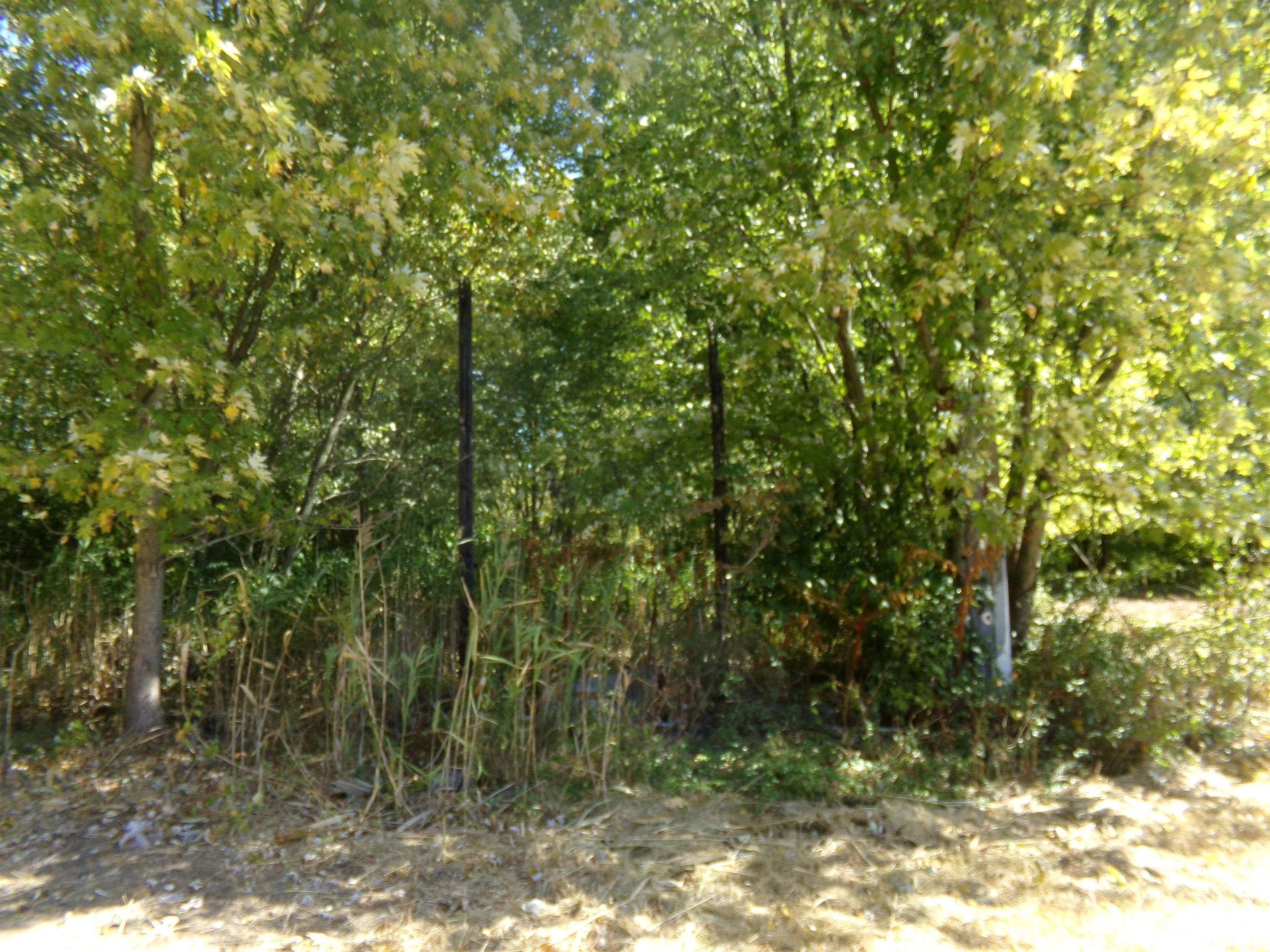 0 Satch Road Benton, IL 62812 - Photo 4 of 13 Gallery Image 4