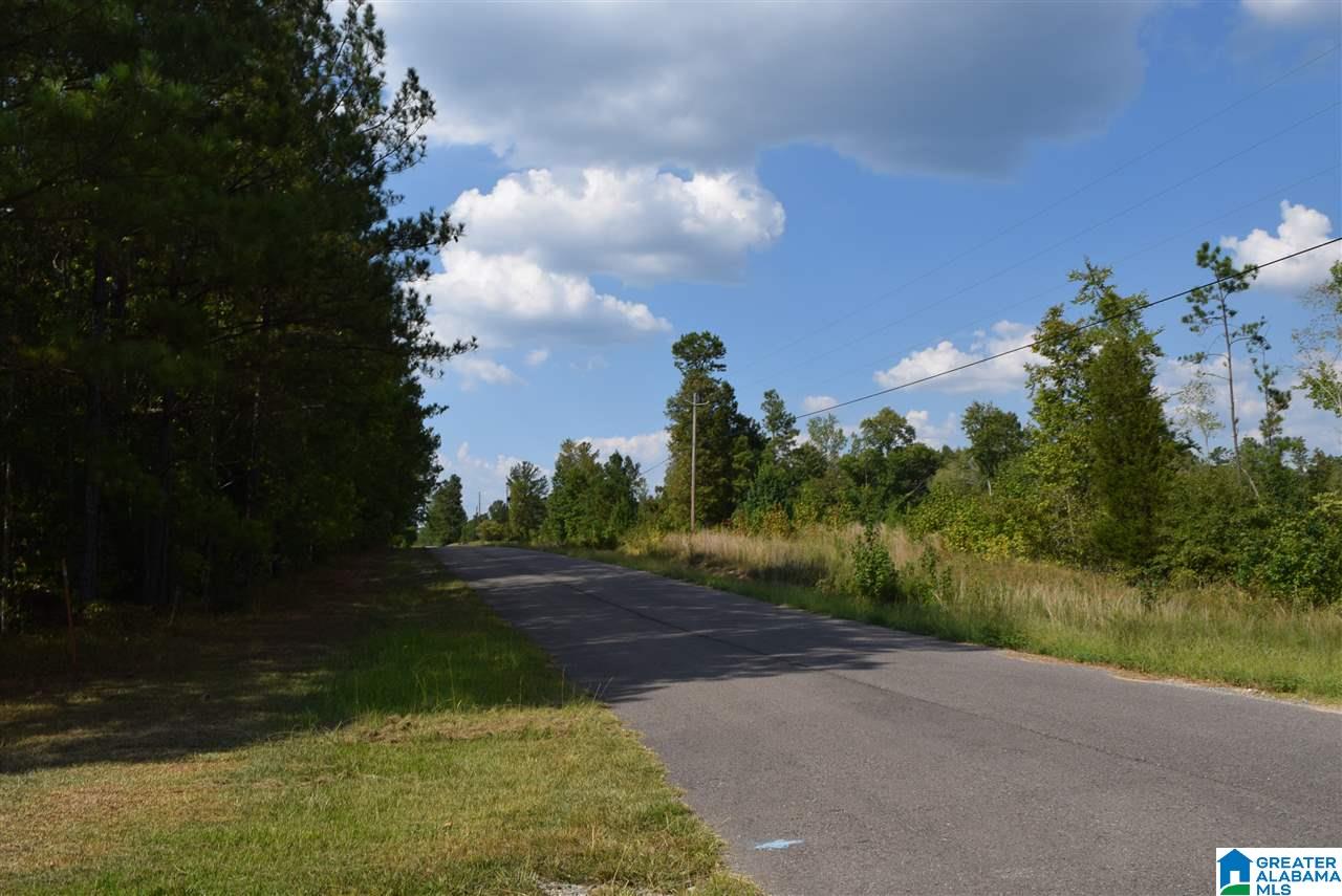 1203 Pine Ridge Road Wellington, AL 36279 - Photo 28 of 28