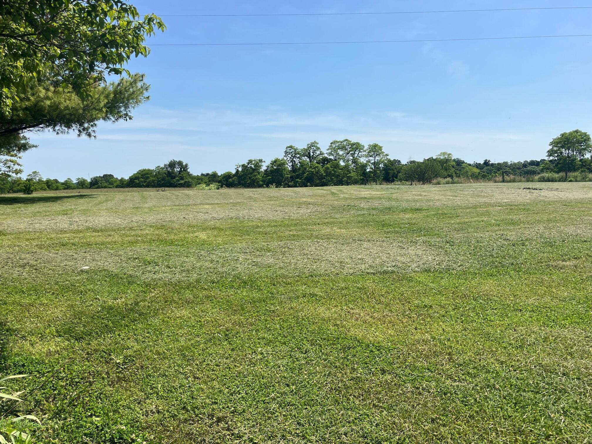 4165 Sherman Mount Zion Dry Ridge, KY 41035 - Photo 12 of 12