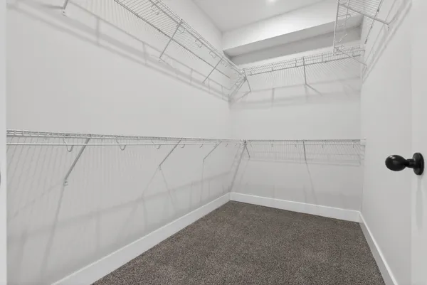 a bathroom with a shower and a sink
