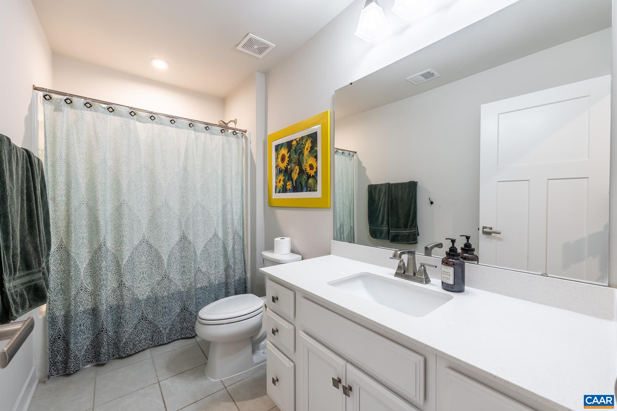 4585 Sunset Drive Charlottesville, VA 22911 - Photo 49 of 70 a bathroom with a sink a toilet and shower