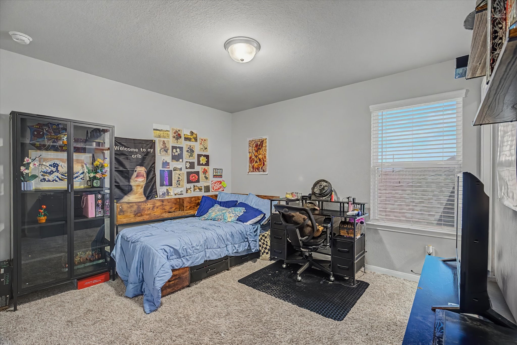 6918 Lebec Drive Rosharon, TX 77583 - Photo 33 of 48