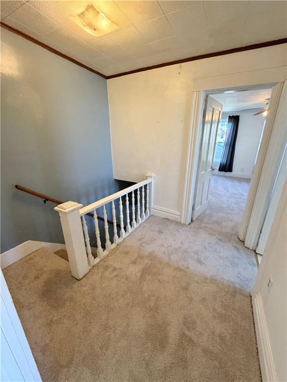 433 New York Avenue, Unit REAR Rochester, PA 15074 - Photo 14 of 28