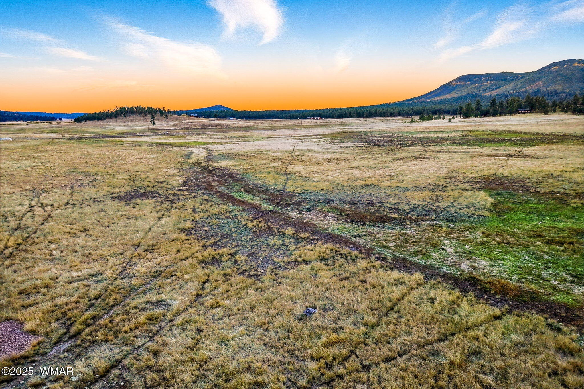 Tbd Tbd Alpine Unsubdivide Alpine, AZ 85920 - Photo 15 of 16