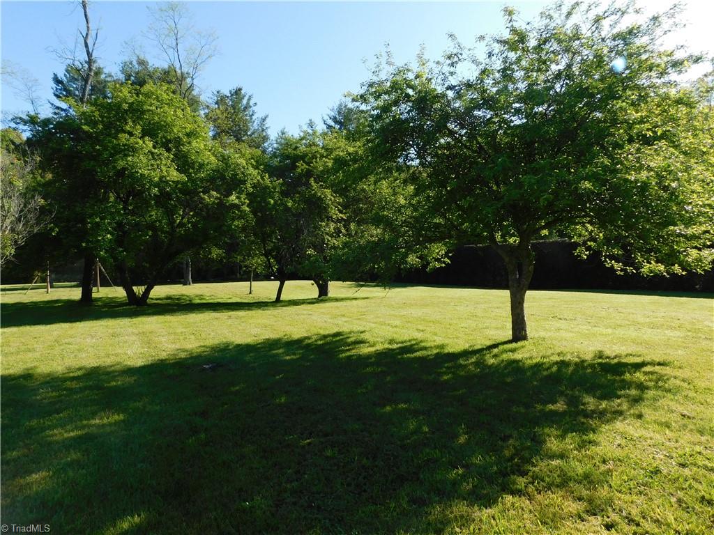 5704 Pine Swamp Road Sparta, NC 28675 - Photo 30 of 37 Beginnings of an orchard