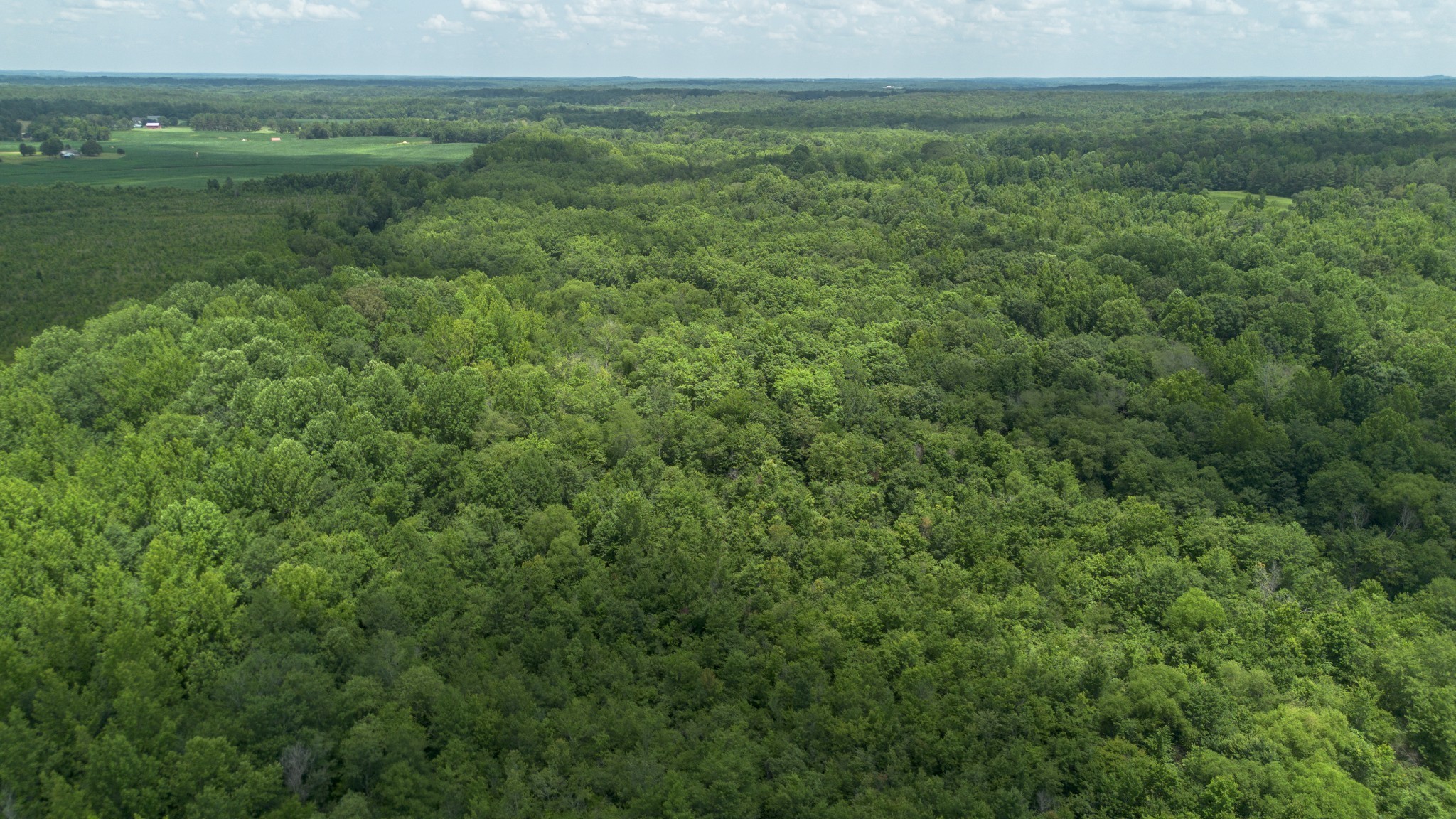 a view of a field of grass and trees