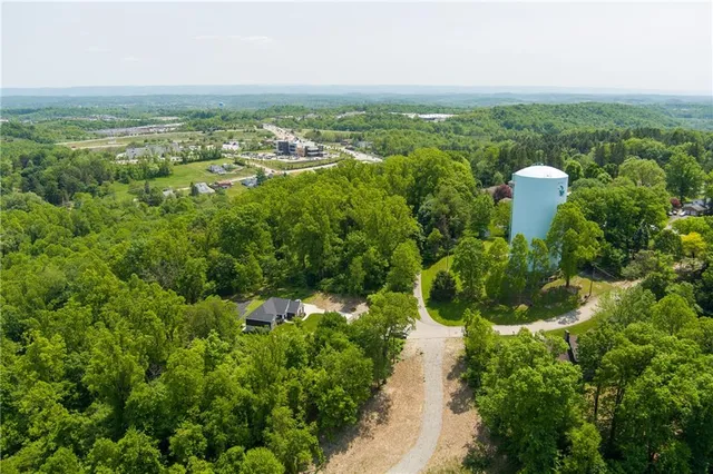 a view of a forest with a lake