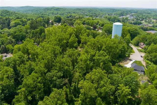 an aerial view of a house with a yard and large trees
