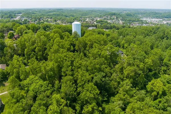 a view of a city with lush green forest