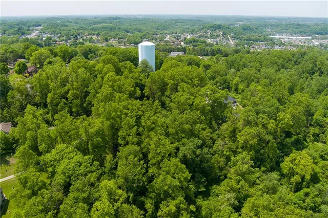 a view of a city with lush green forest