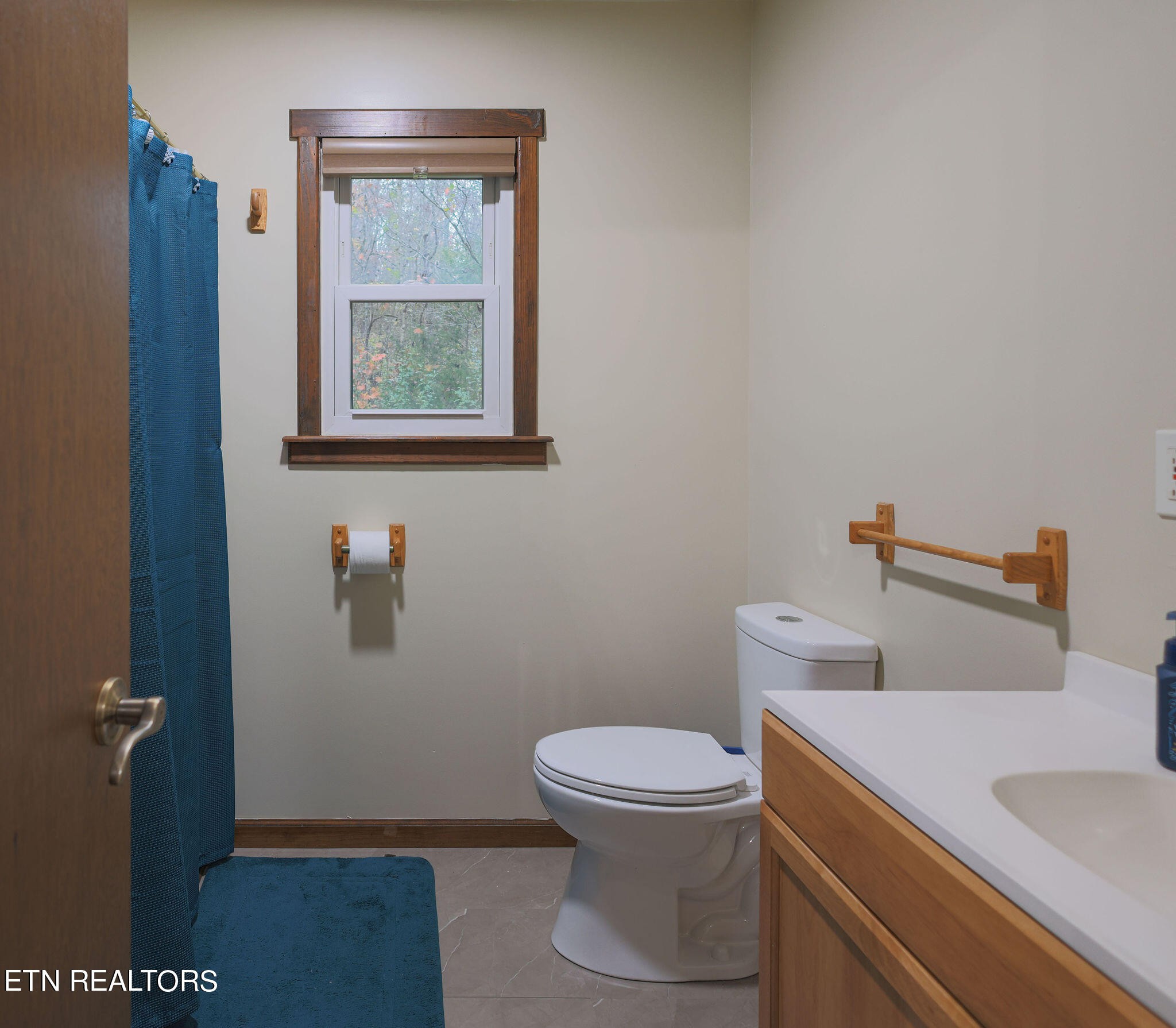 160 Rainbow Lane La Follette, TN 37766 - Photo 33 of 58 a bathroom with a toilet and a sink
