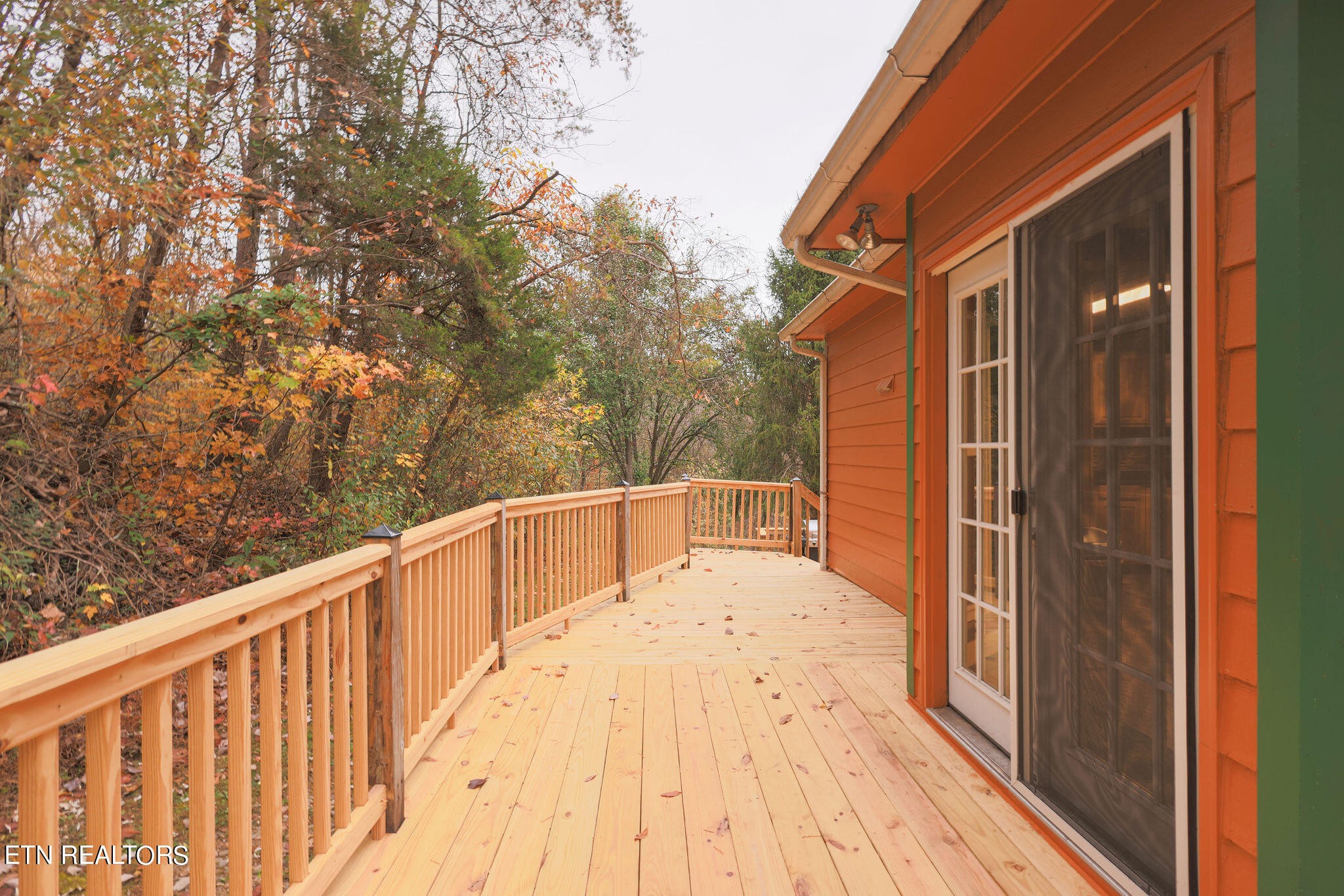 160 Rainbow Lane La Follette, TN 37766 - Photo 45 of 58