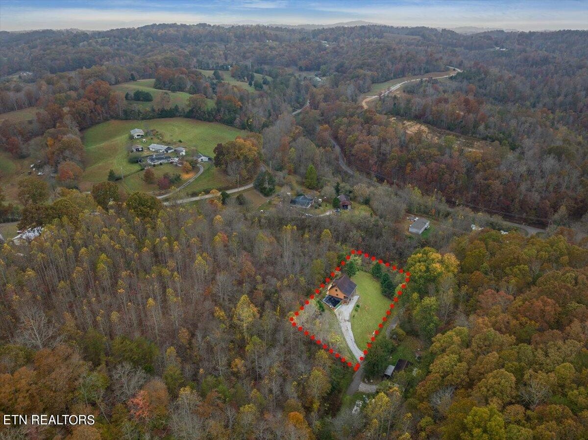 160 Rainbow Lane La Follette, TN 37766 - Photo 51 of 58