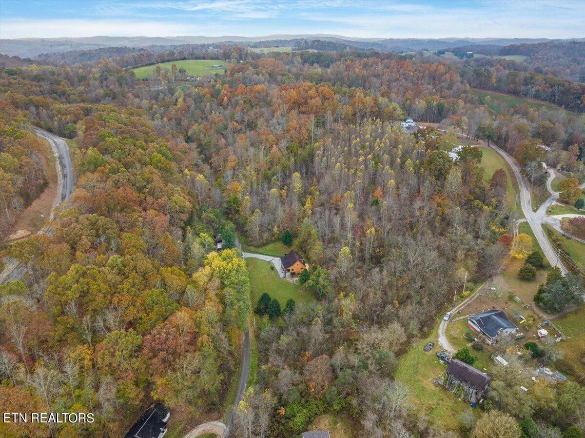 160 Rainbow Lane La Follette, TN 37766 - Photo 55 of 58 a view of a yard with a mountain