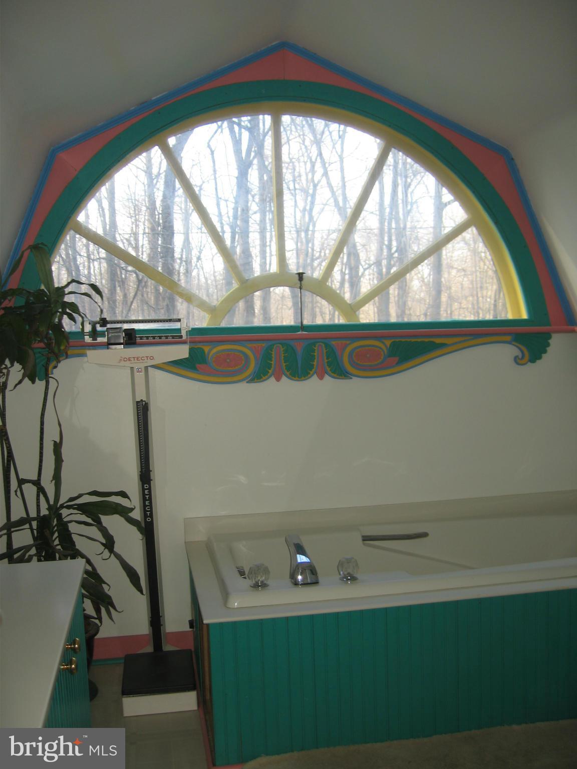 4875 River Road Shepherdstown, WV 25443 - Photo 24 of 30 Bath (Master)