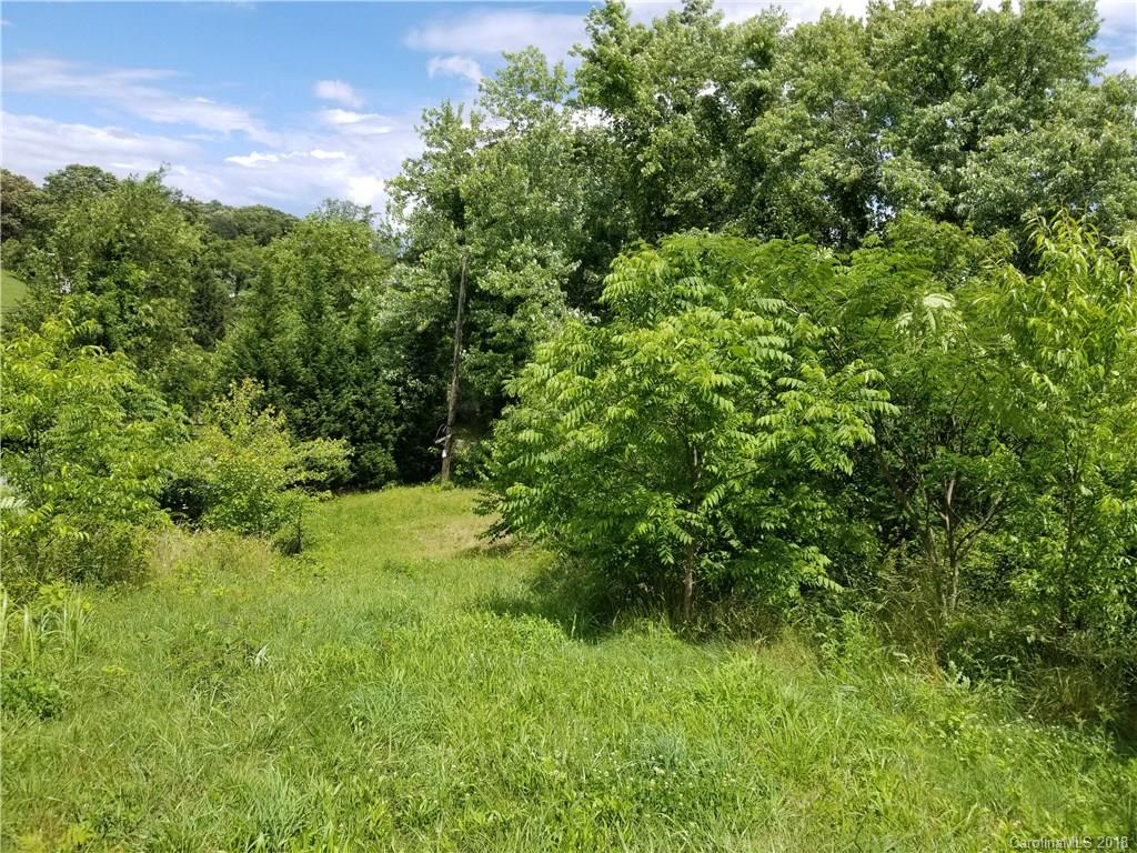 8 Curtis Farm Road Candler, NC 28715 - Photo 2 of 6 Gallery Image 2