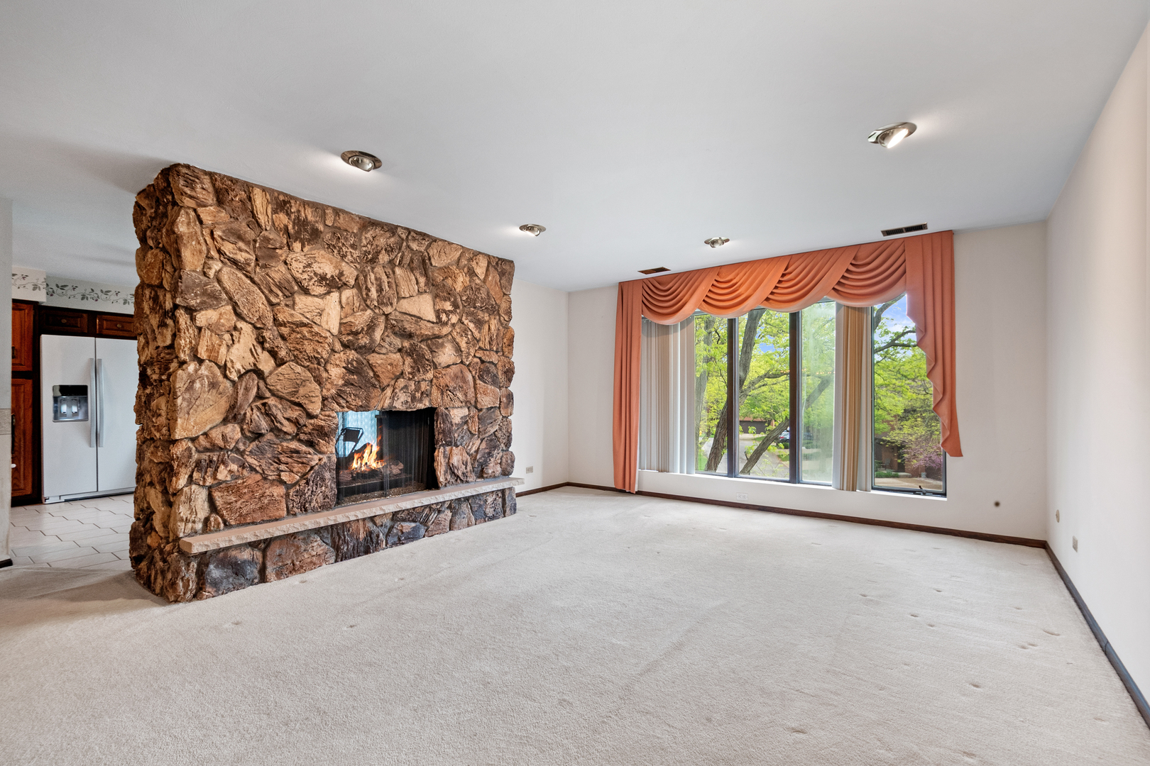 75 Boardwalk Place, Unit 203 Park Ridge, IL 60068 - Photo 5 of 24 Gallery Image 5