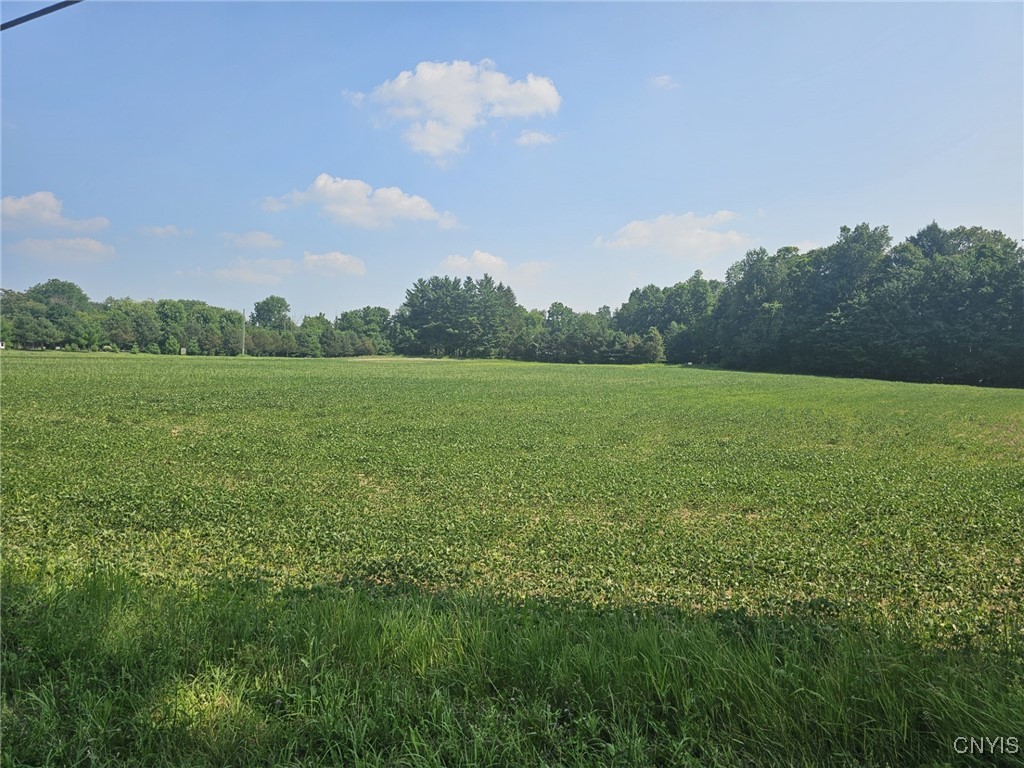 Clinton Road Weedsport, NY 13166 - Photo 2 of 11