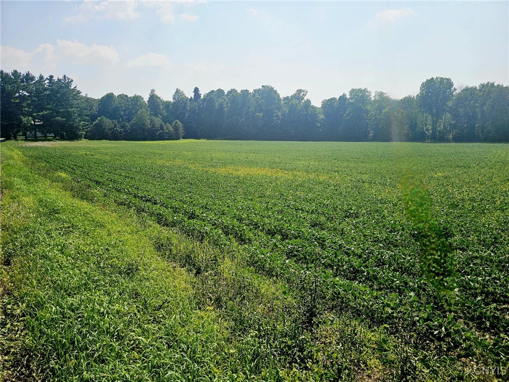 Clinton Road Weedsport, NY 13166 - Photo 3 of 11