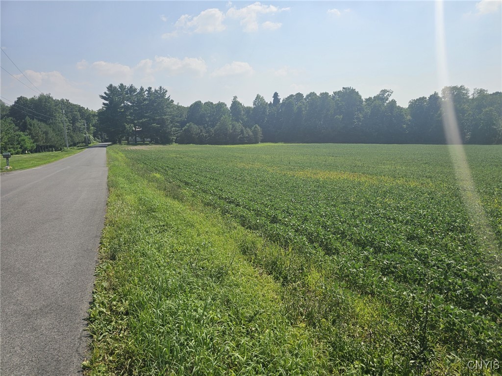 Clinton Road Weedsport, NY 13166 - Photo 4 of 11