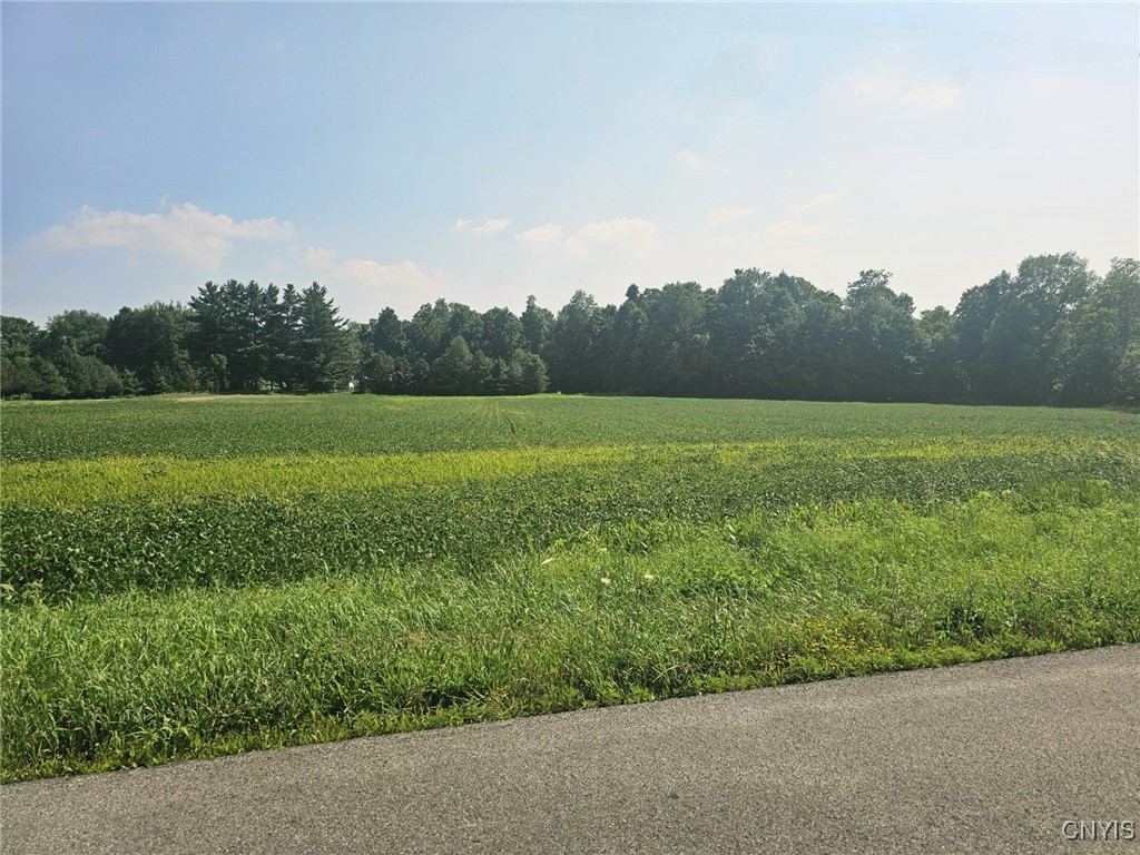 Clinton Road Weedsport, NY 13166 - Photo 5 of 11