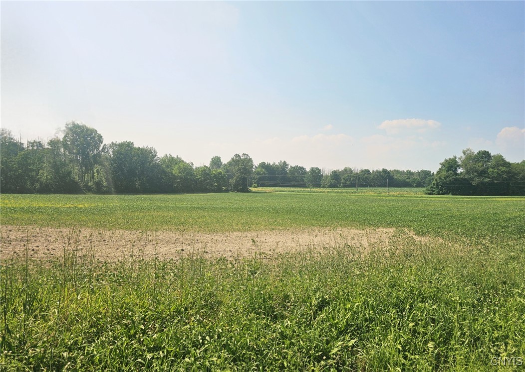 Clinton Road Weedsport, NY 13166 - Photo 6 of 11