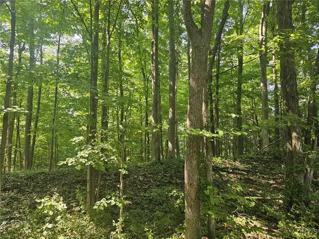 $139,000 | Clinton Road, Weedsport, NY 13166