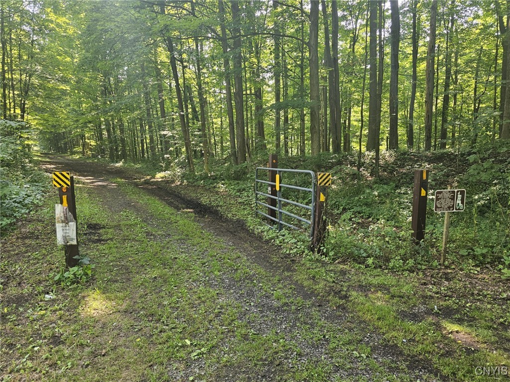 Clinton Road Weedsport, NY 13166 - Photo 8 of 11