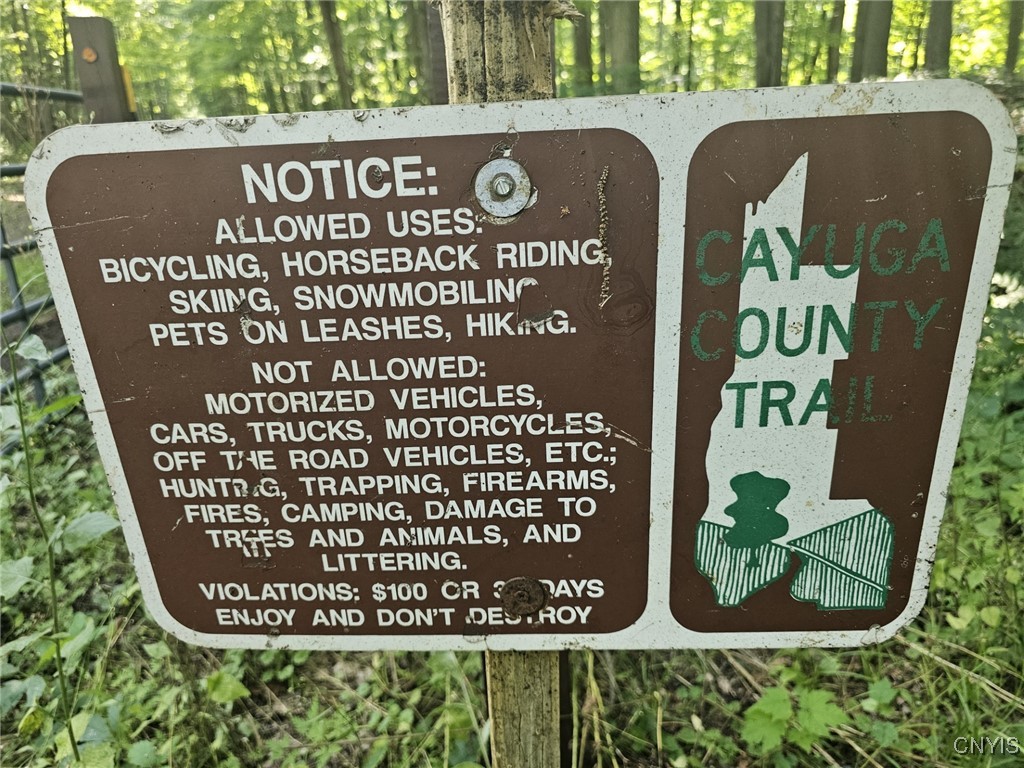 Clinton Road Weedsport, NY 13166 - Photo 9 of 11