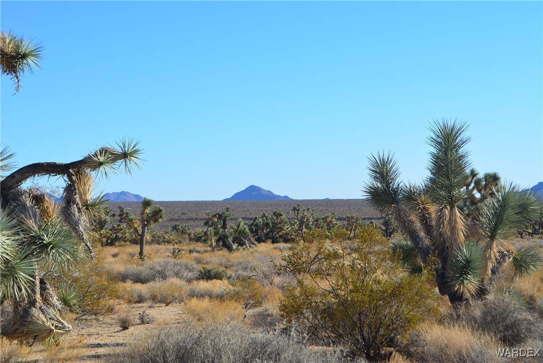 11900 Alan Road Yucca, AZ 86438 - Photo 13 of 99 Gallery Image 13