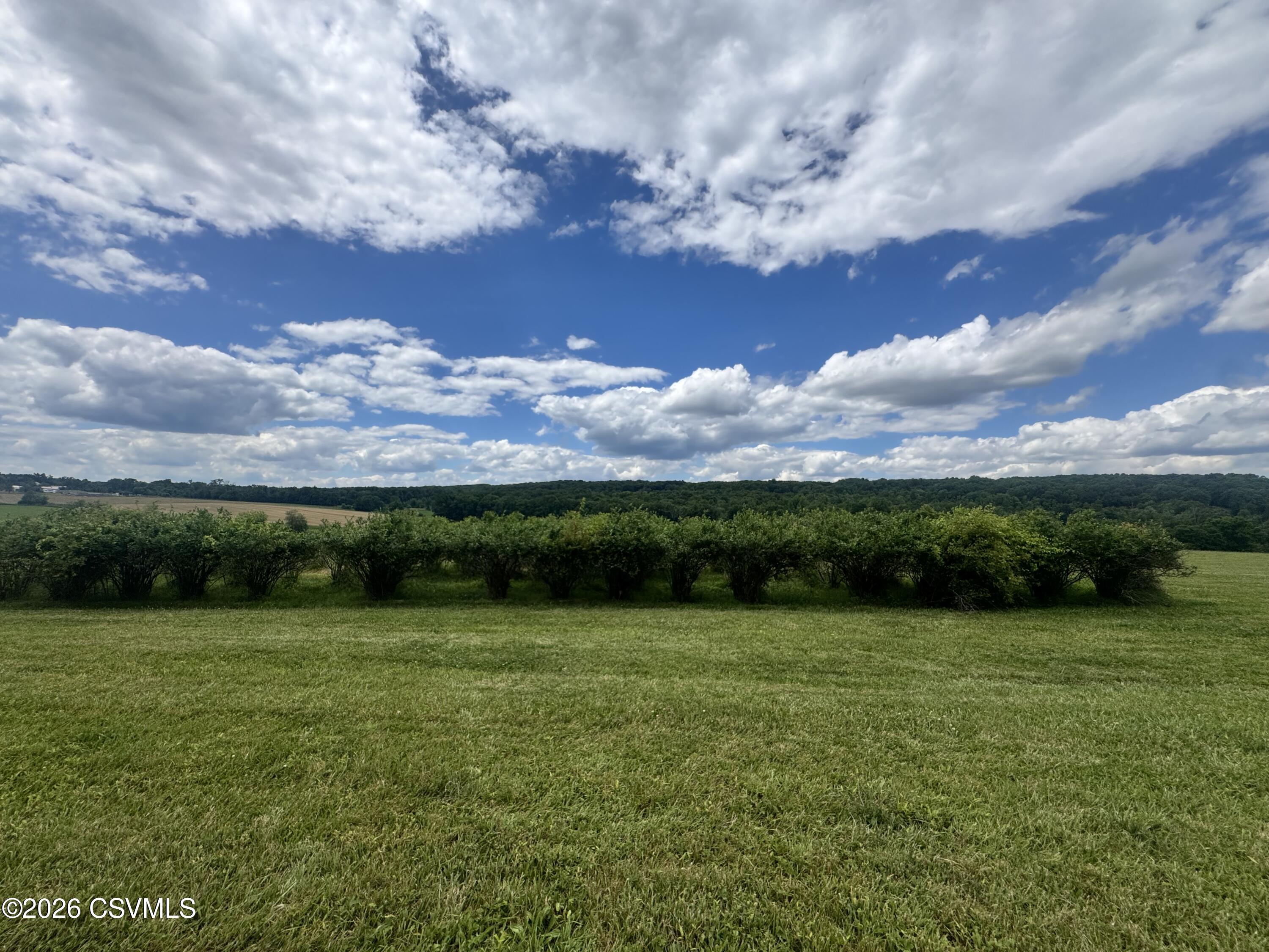 Lot #9 Old Reading Road Sunbury, PA 17801 - Photo 3 of 5