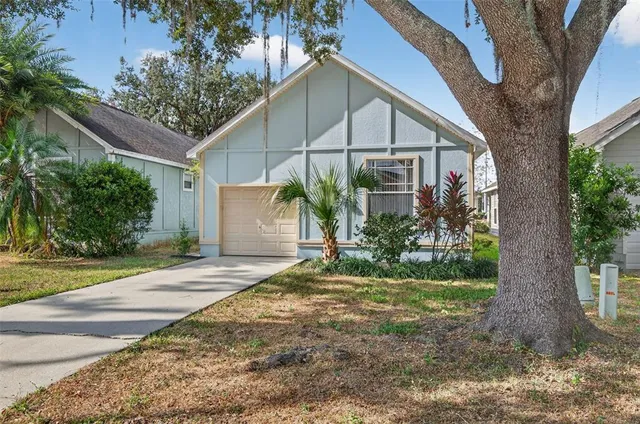 a house that has a tree in front of it
