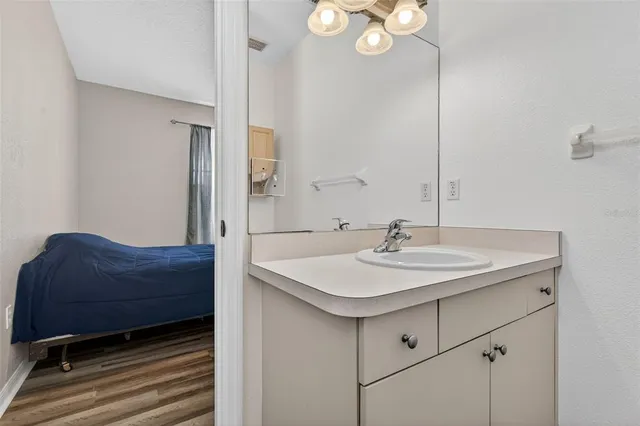 a bathroom with a sink and a mirror