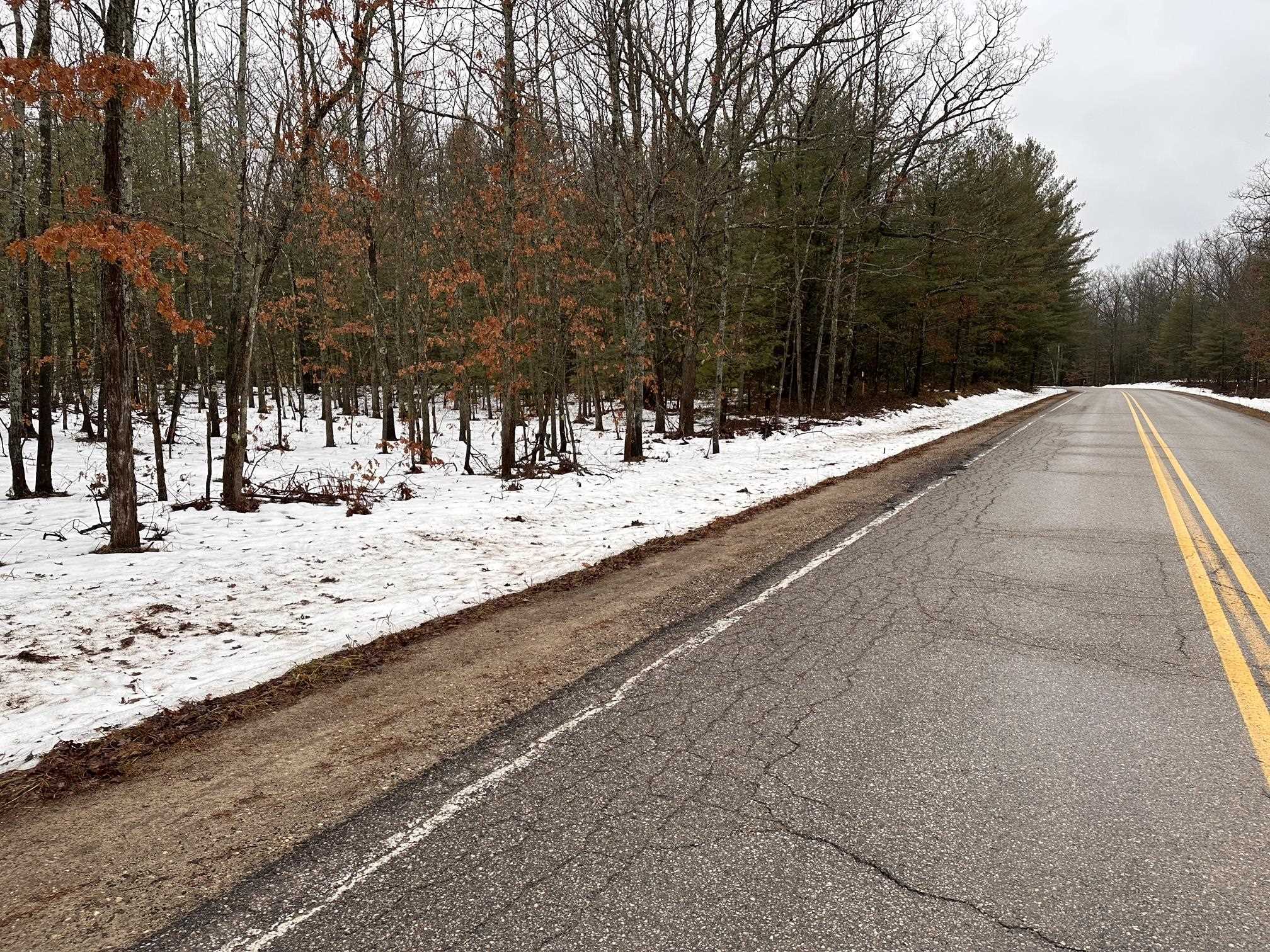 F Albrecht Road Interlochen, MI 49643 - Photo 5 of 5
