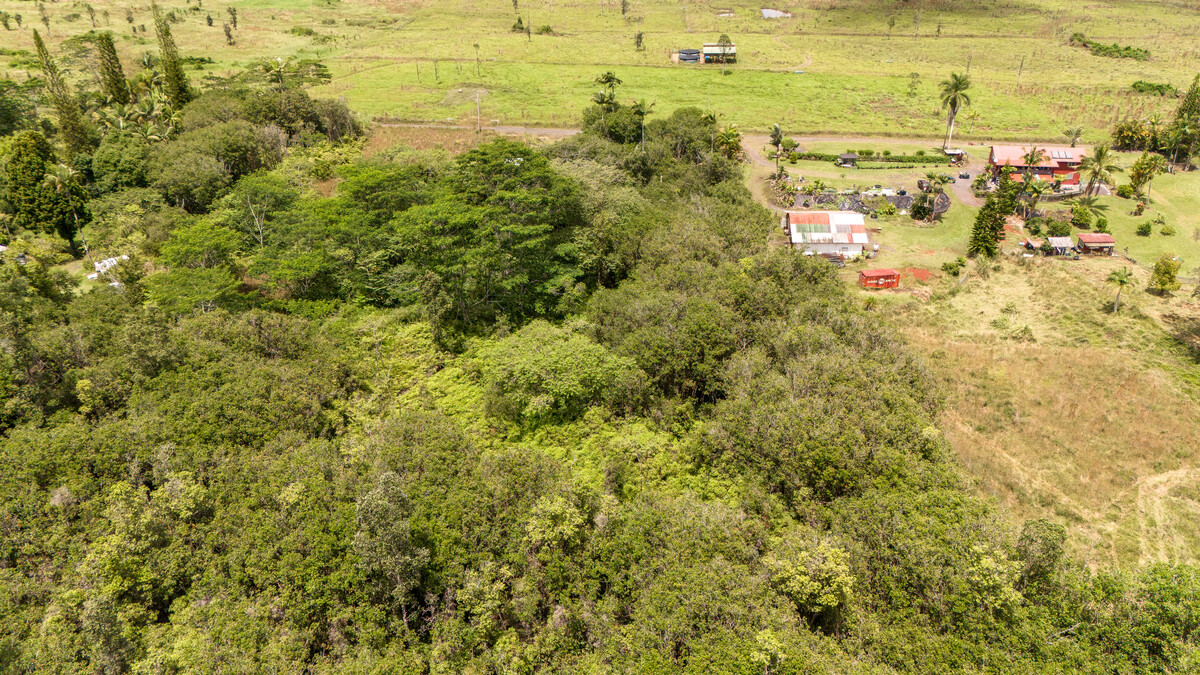 89 Huina Road Mountain View, HI 96771 - Photo 14 of 19 a view of ocean view