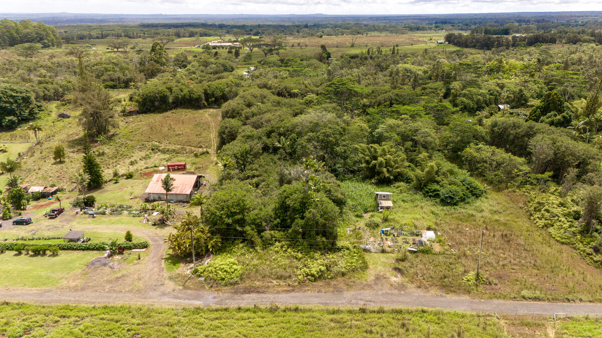 89 Huina Road Mountain View, HI 96771 - Photo 2 of 19 a view of a city with an ocean