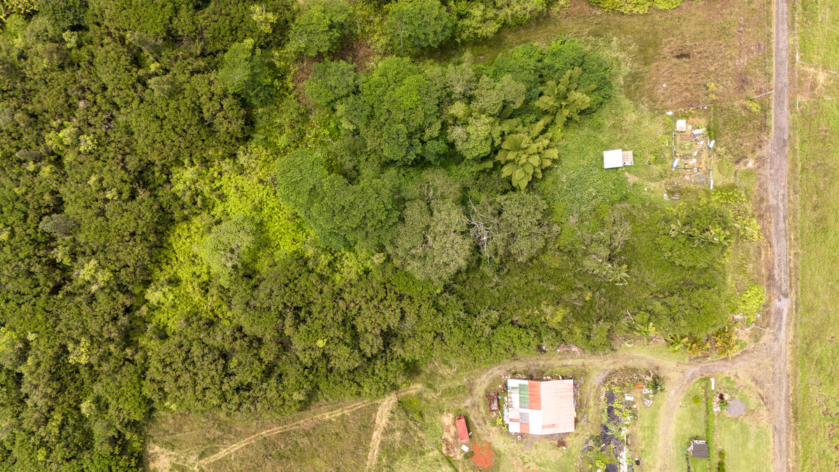 89 Huina Road Mountain View, HI 96771 - Photo 4 of 19