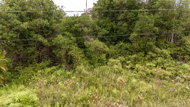 a view of a yard of a building