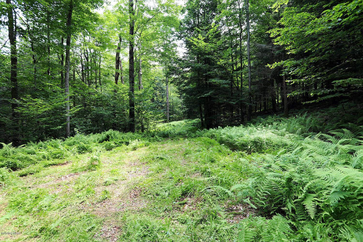 0 Minckler Mountain Road Equinunk, PA 18417 - Photo 25 of 39