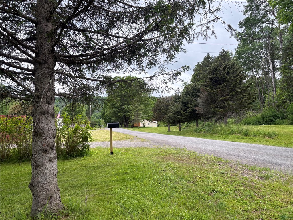 172 Brookins Road North Norwich, NY 13464 - Photo 2 of 29