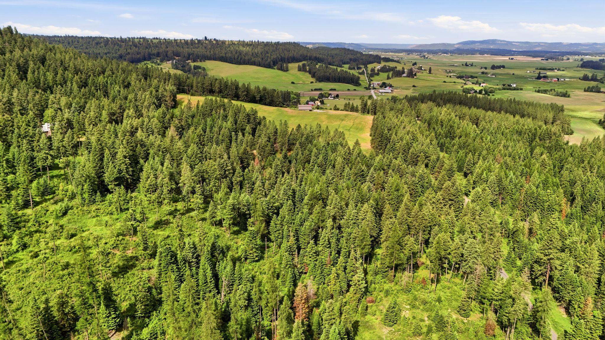 12112 East Burnett Road Mead, WA 99021 - Photo 10 of 23