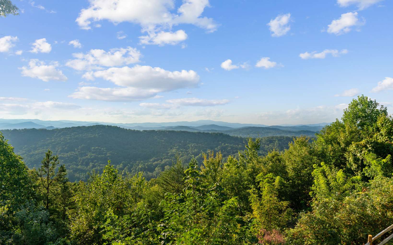 481 Deer Crest Overlook Blue Ridge, GA 30513 - Photo 57 of 68 Additional View