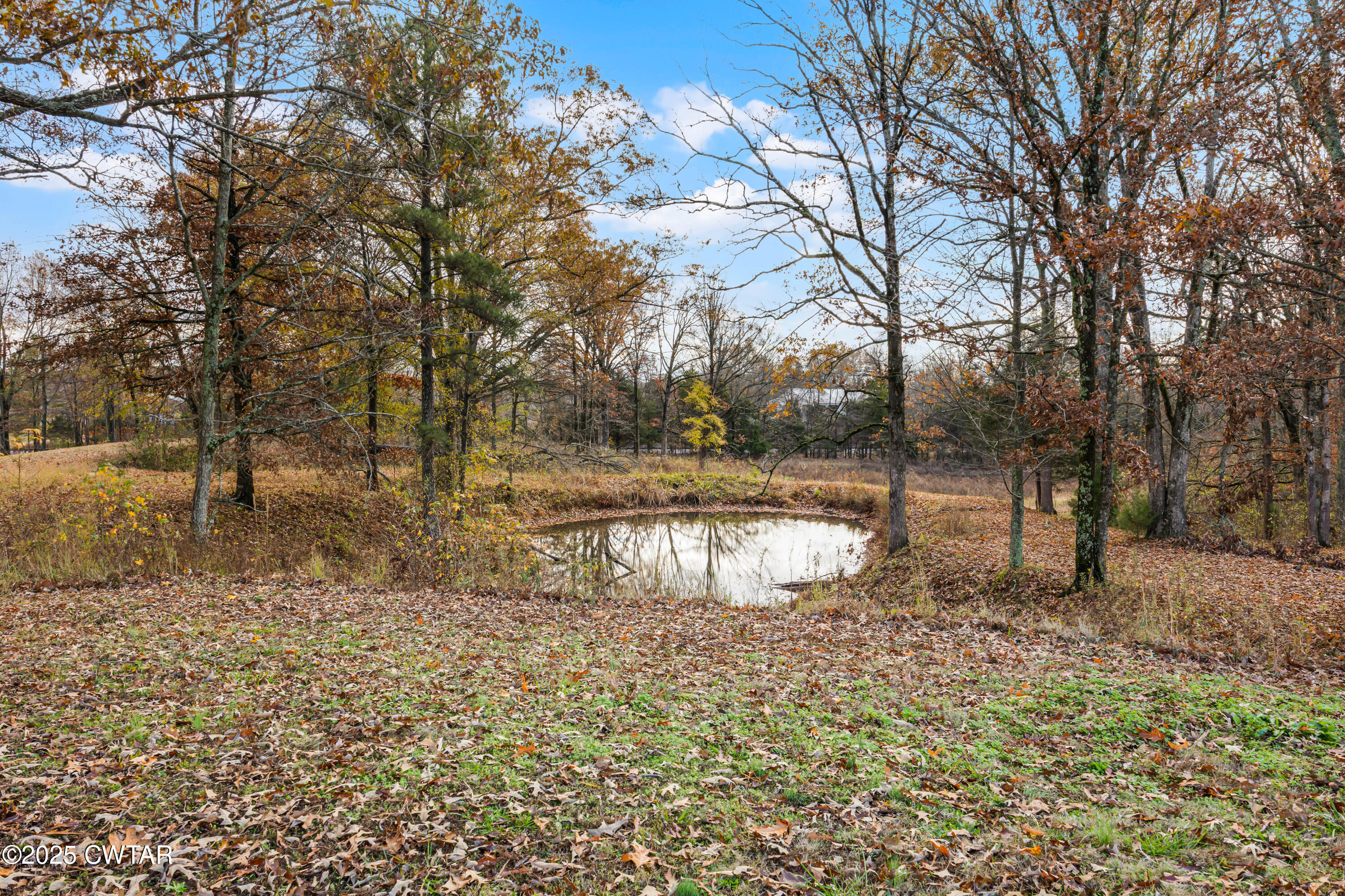 18232 Highway 79 Gadsden, TN 38337 - Photo 19 of 22 a view of swimming pool with a yard