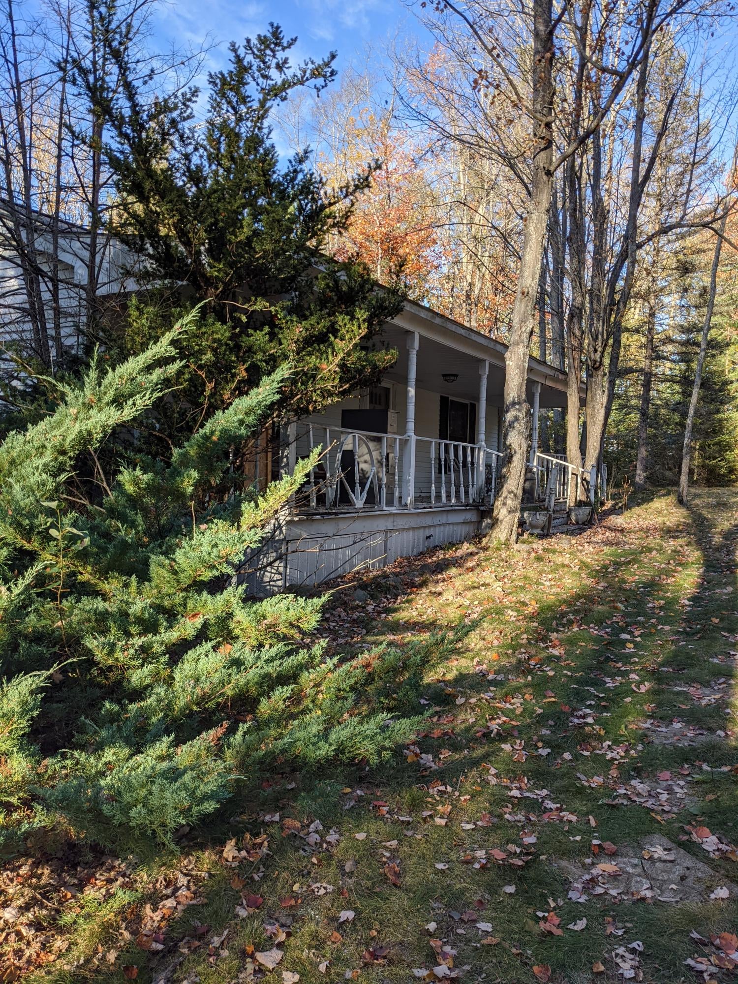10920 River Road Atlanta, MI 49709 - Photo 20 of 59 Gallery Image 20